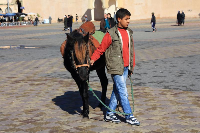 98-Meknes,29 dicembre 2013.JPG